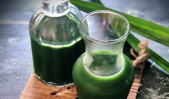 Air Daun Pandan Punya Manfaat Dapat Meredakan Demam, Cek Manfaat Lainnya di Sini