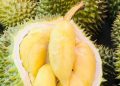 Cek di Sini! Efek Samping Makan Durian Berlebihan, Dapat Sebabkan Kadar Gula Darah Meningkat