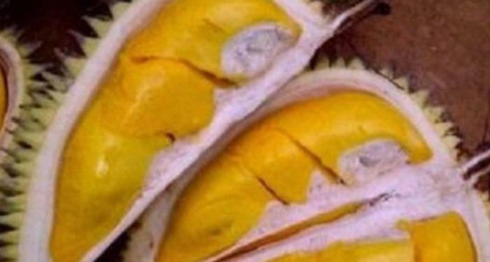 Jenis Buah Durian Ini Ada di Indonesia, Salah Satunya Durian Petruk, Cek di Sini
