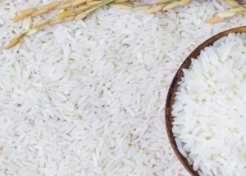 Cek di Sini! Penyebab Beras Berkutu yang Jarang Diketahui, Apa Saja?