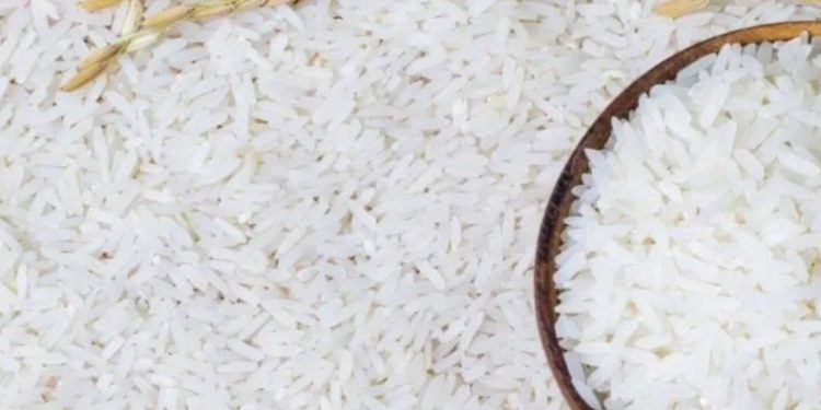 Cek di Sini! Penyebab Beras Berkutu yang Jarang Diketahui, Apa Saja?