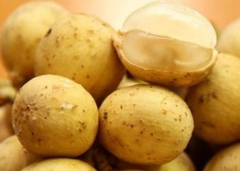 Buah Duku Baik untuk Perawatan Kulit, Cek Manfaat Rincinya di Sini! Dapat Mengatasi Jerawat