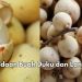 Ini Bedanya Buah Duku dan Langsat yang Jarang Diketahui! Cek Sekarang