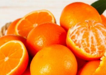 Cek Daftar Makanan Ini, Ampuh Membuat Kulit Jadi Awet Muda, Apa Saja?