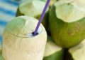 Cek Manfaat bagi Kesehatan di Sini! Buah Kelapa Dipercaya Baik untuk Meningkatkan Daya Tahan