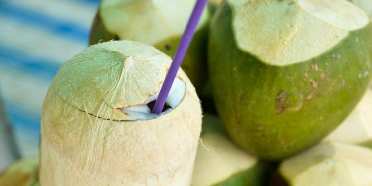 Cek Manfaat bagi Kesehatan di Sini! Buah Kelapa Dipercaya Baik untuk Meningkatkan Daya Tahan