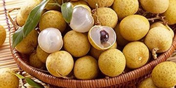 Cek Sekarang! Manfaat Konsumsi Buah Kelengkeng Sehari-hari, Bisa Mencegah Penuaan Dini