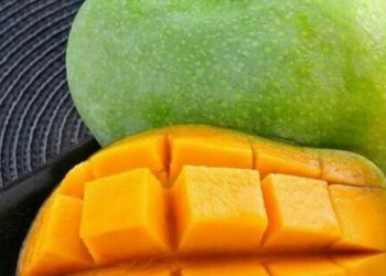Daftar Makanan Sehat yang Aman untuk Ibu Hamil, Cek di Sini! Coba Konsumsi Buah Mangga
