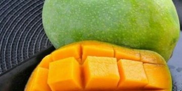 Daftar Makanan Sehat yang Aman untuk Ibu Hamil, Cek di Sini! Coba Konsumsi Buah Mangga
