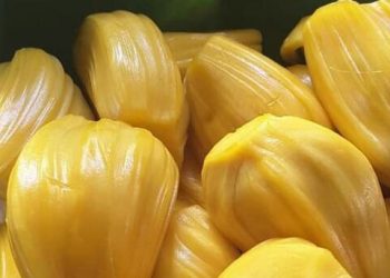 Ini Efek Samping dari Buah Nangka yang Jarang Diketahui, Salah Satunya Hiperkalemia