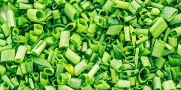 Cek Manfaat Daun Bawang Ini! Baik untuk Menjaga Kesehatan Ibu Hamil