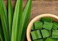 Daun Pandan Bisa Mengatasi Jerawat, Cek Manfaat Rincinya di Sini