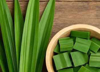Daun Pandan Bisa Mengatasi Jerawat, Cek Manfaat Rincinya di Sini