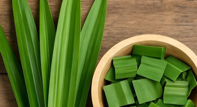 Daun Pandan Bisa Mengatasi Jerawat, Cek Manfaat Rincinya di Sini