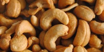 Cek Manfaat Kacang Mete untuk Tubuh di Sini! Bisa Meningkatkan Kesehatan Mata