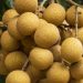 Cek Efek Samping Buah Kelengkeng di Sini, Bisa Sebabkan Meningkatkan Kadar Gula