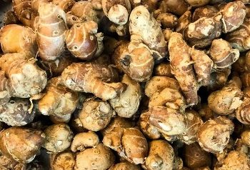 Cek Manfaat Kencur untuk Kesehatan di Sini! Salah Satunya Dapat Mengurangi Peradangan