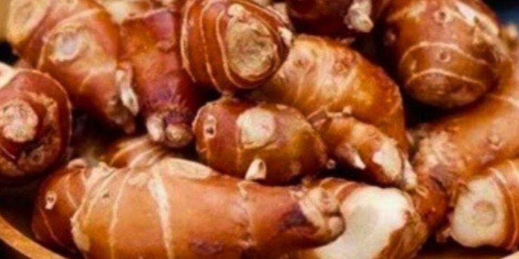 Kencur Punya Manfaat untuk Kecantikan, Dapat Mencerahkan Kulit! Cek di Sini