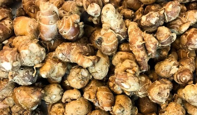 Cek Manfaat Kencur untuk Kesehatan di Sini! Salah Satunya Dapat Mengurangi Peradangan