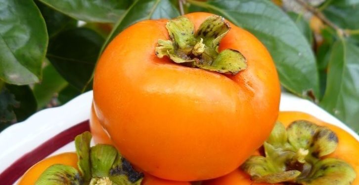 Ampuh Mengatasi Kerusakan Sel Kulit! Ini Manfaat Lain Buah Kesemek untuk Perawatan Kulit