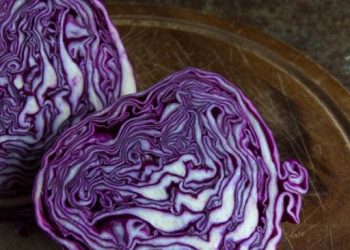 Cek Efek Samping di Sini! Hati-hati Konsumsi Kubis Merah Berlebihan, Bisa Sebabkan Hal Ini