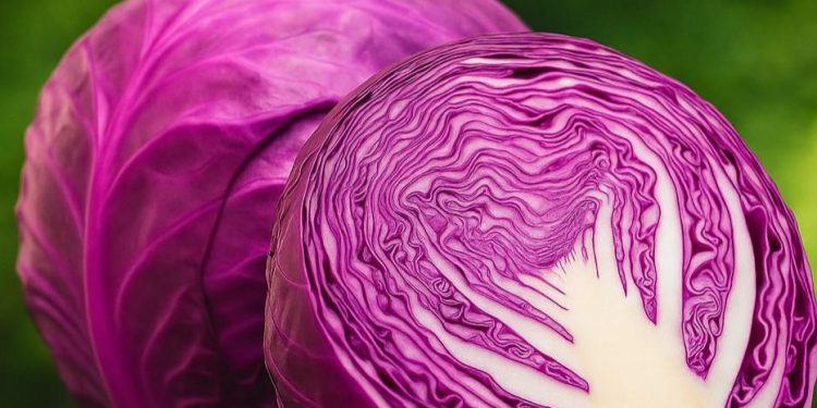 Manfaat Lain Kubis Merah untuk Kesehatan, Dapat Menjaga Keseimbangan Hormon