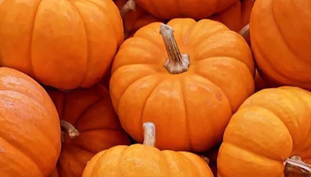 Ini Efek Samping dari Labu Kuning, Bisa Sebabkan Gangguan Pencernaan