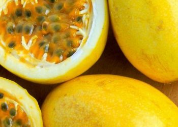 Ilustrasi. Fakta menarik buah markisa yang dapat diketahui sehari-hari.