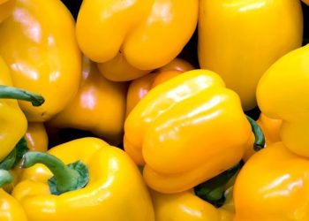 Manfaat Lain Paprika Merah untuk Perawatan Kulit! Cek di Sini, Dapat Mencegah Penuaan Dini