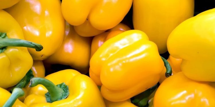 Manfaat Lain Paprika Merah untuk Perawatan Kulit! Cek di Sini, Dapat Mencegah Penuaan Dini