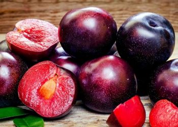 Cek di Sini! Orang yang Perlu Hindari Konsumsi Buah Plum, Penderita Harus Berhati-hati