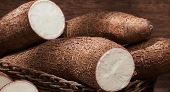 Singkong Dapat Dikonsumsi Ibu Hamil, Cek Manfaat Lengkapnya di Sini! Mampu Menjaga Kesehatan Mata