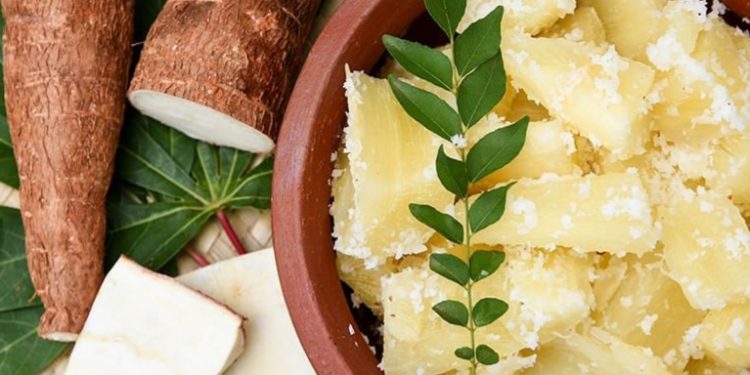 Hati-hati Konsumsi Singkong Berlebihan, Dapat Sebabkan Gangguan Saraf, Cek Efek Samping Lainnya