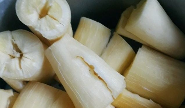 Makanan Olahan Singkong Enak dan Mudah Dibuat, Cek di Sini