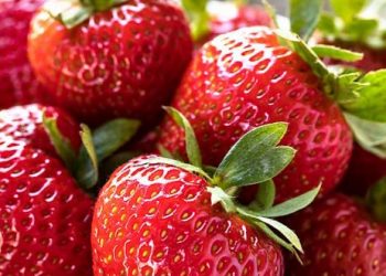 Makanan Ini Punya Kandungan Vitamin C, Cek di Sini! Aman Dikonsumsi Sehari-hari