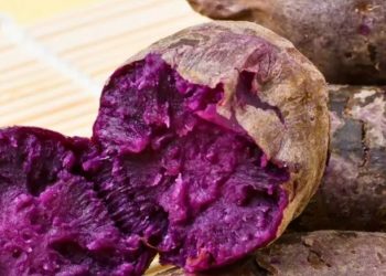 Cara Membuat Makanan Ubi Ungu Enak, Cek Resep di Sini! Cocok Jadi Camilan Sehari-hari