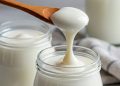 Cara Membuat Olahan Yoghurt Enak dan Sehat, Cukup Siapkan Bahan Ini