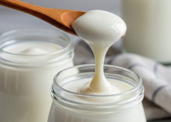 Cara Membuat Olahan Yoghurt Enak dan Sehat, Cukup Siapkan Bahan Ini