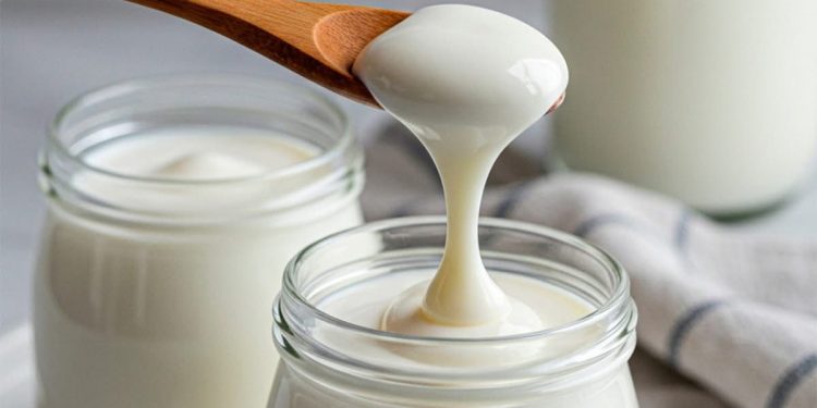 Cara Membuat Olahan Yoghurt Enak dan Sehat, Cukup Siapkan Bahan Ini