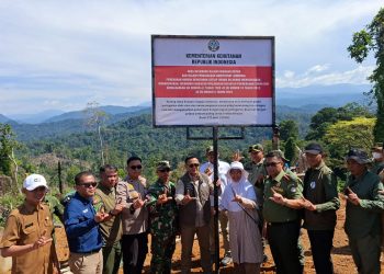 Tinjau Bentang Alam Seblat, Wamenhut Jamin Rumah Gajah di Bengkulu Aman
