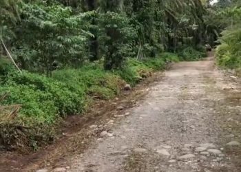 Peningkatan Jalan ke Trans Batu Ampar Dimulai, Target Akhir November Rampung