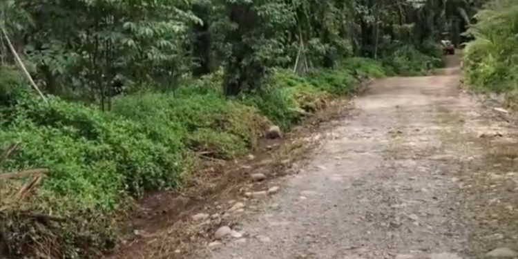 Peningkatan Jalan ke Trans Batu Ampar Dimulai, Target Akhir November Rampung