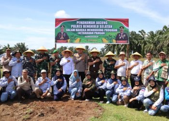 Dukungan Ketahanan Pangan Nasional, Polres Bengkulu Selatan Gelar Penanaman Jagung Kwartal IV Secara Serentak