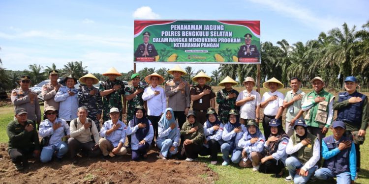 Dukungan Ketahanan Pangan Nasional, Polres Bengkulu Selatan Gelar Penanaman Jagung Kwartal IV Secara Serentak
