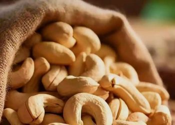 Manfaat dari Makan Kacang Mete untuk Ibu Hamil, Salah Satunya Menambah Darah, Cek di Sini