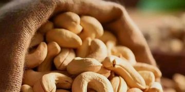 Manfaat dari Makan Kacang Mete untuk Ibu Hamil, Salah Satunya Menambah Darah, Cek di Sini