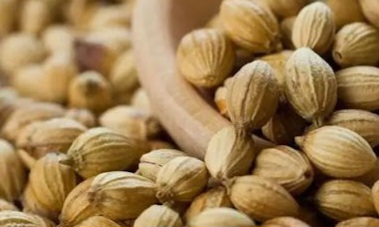 Cara Membuat Minuman Sehat untuk Mengatasi Pilek, Coba Olahan dari Kapulaga Ini