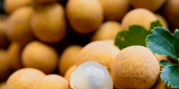 Cek Manfaat Buah Kelengkeng untuk Kecantikan Wajah Ini, Salah Satunya Bisa Mencerahkan Kulit