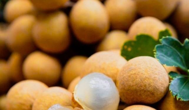 Cek Manfaat Buah Kelengkeng untuk Kecantikan Wajah Ini, Salah Satunya Bisa Mencerahkan Kulit