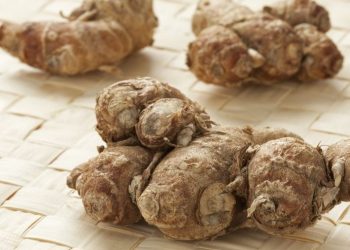 Ini Efek Samping Kencur yang Jarang Diketahui, Bisa Sebabkan Iritasi Tenggorokan, Hati-hati